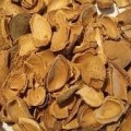 biomasa