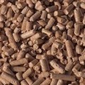 biomasa